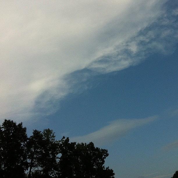 Tree Photograph - Leading Edge Of Cirrus Anvil From Line by Teri Heisler