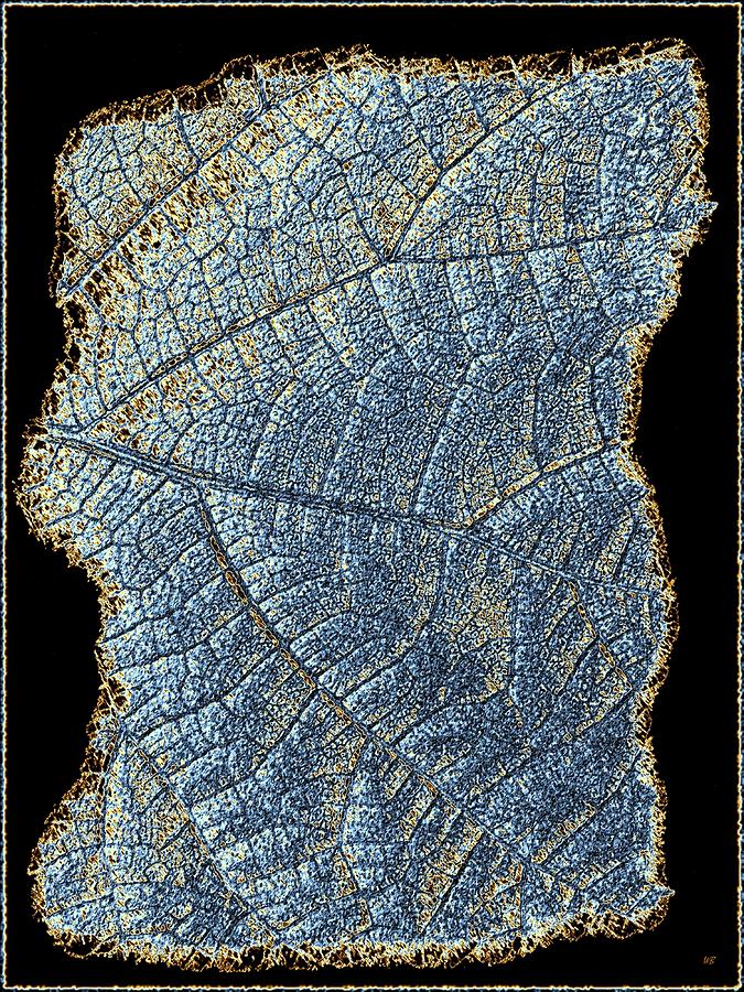 Leaf Abstract Digital Art by Will Borden