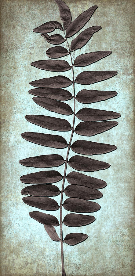 Leaf Art Digital Art by Milena Ilieva