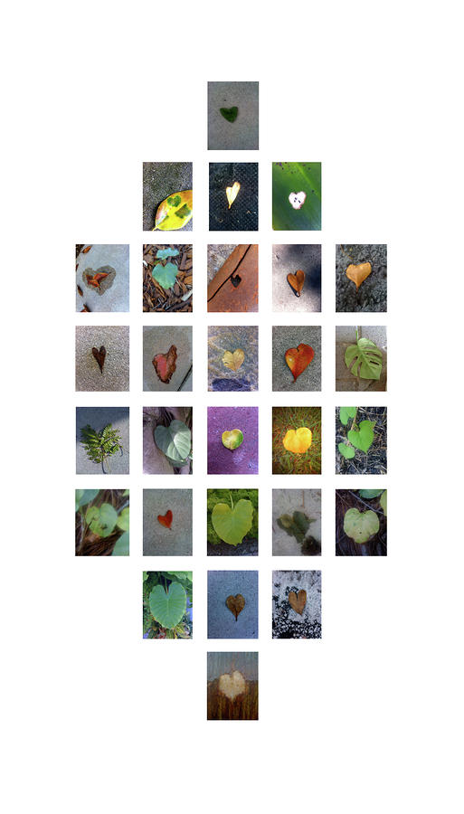 Leaf Hearts Photograph by Boy Sees Hearts