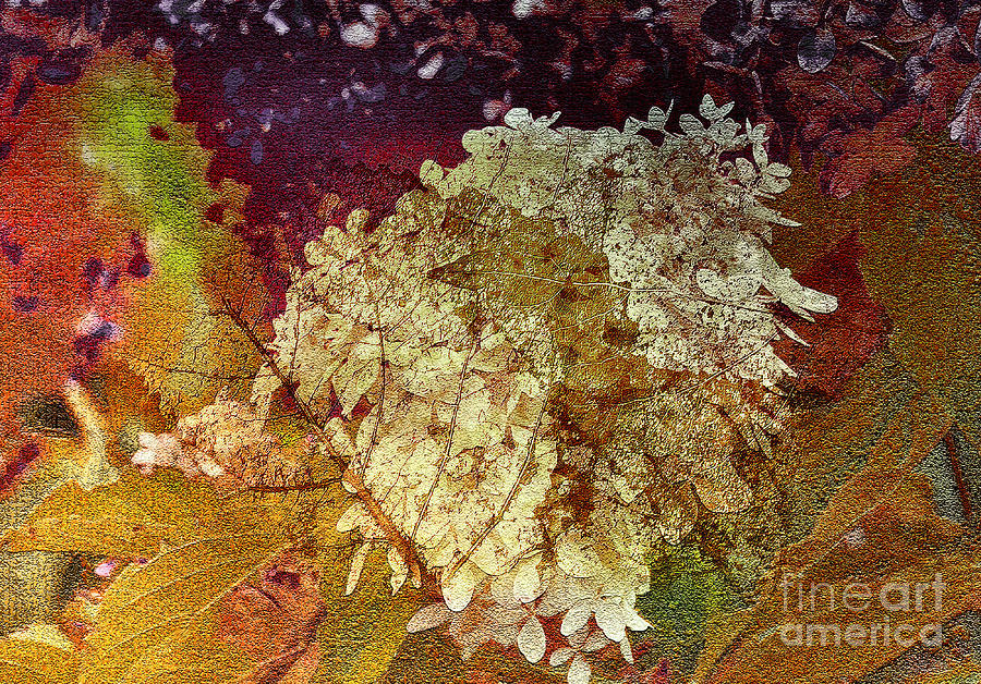 Leaf Impressions Abstract  Mixed Media by Elaine Manley