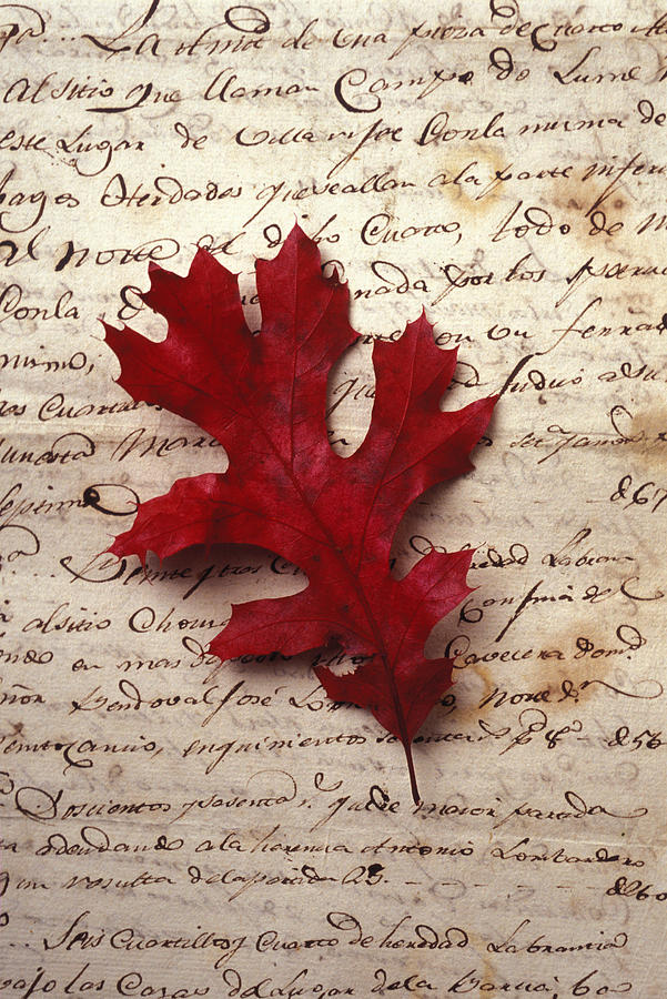 Fall Photograph - Leaf on letter by Garry Gay
