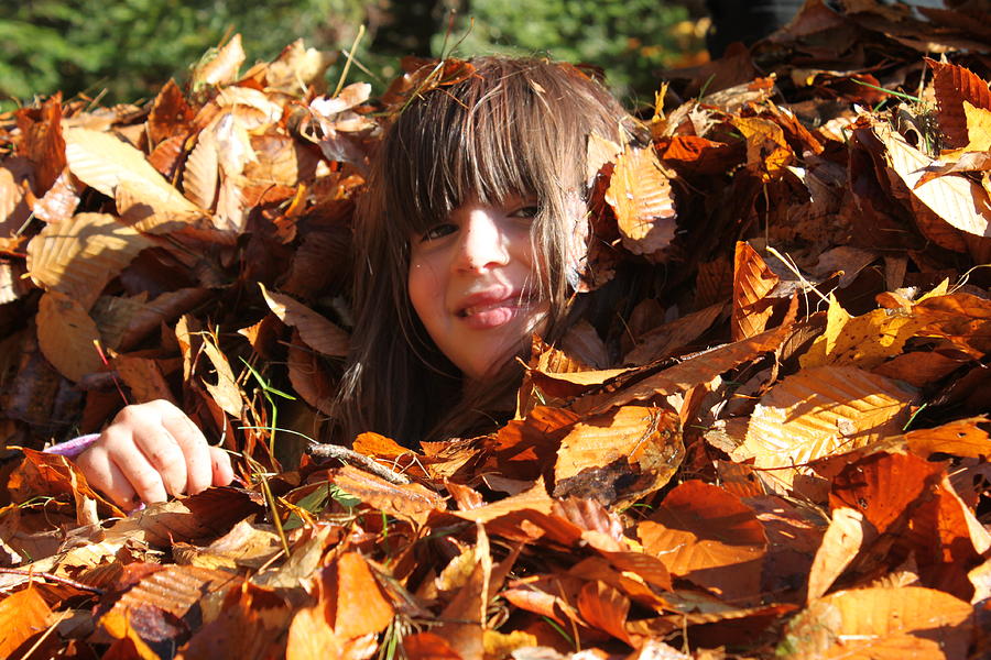 Leaf Peeper Photograph by Kat Hall - Pixels