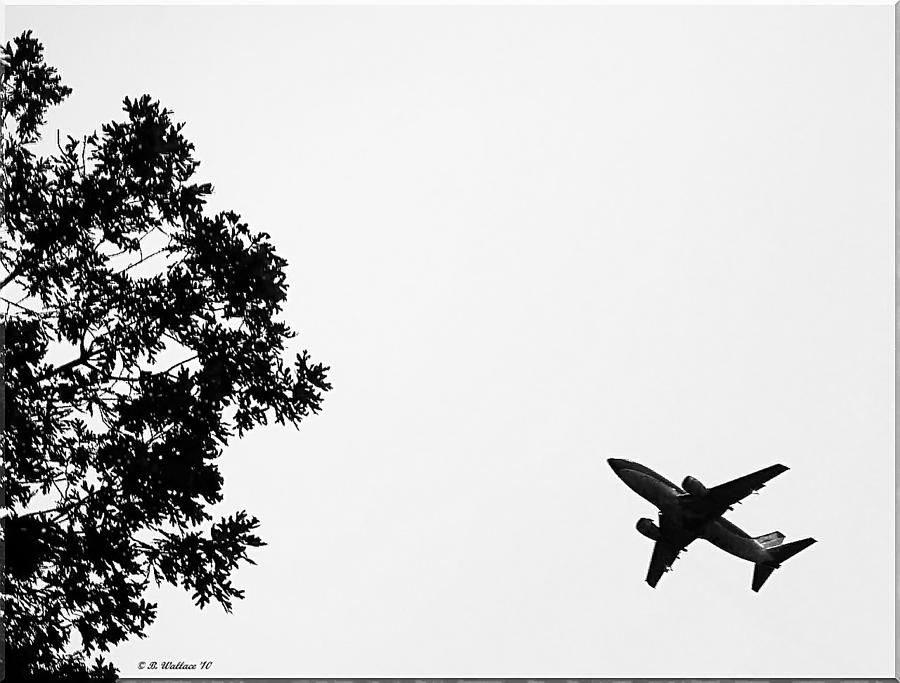 Leafing On A Jet Plane Photograph by Brian Wallace