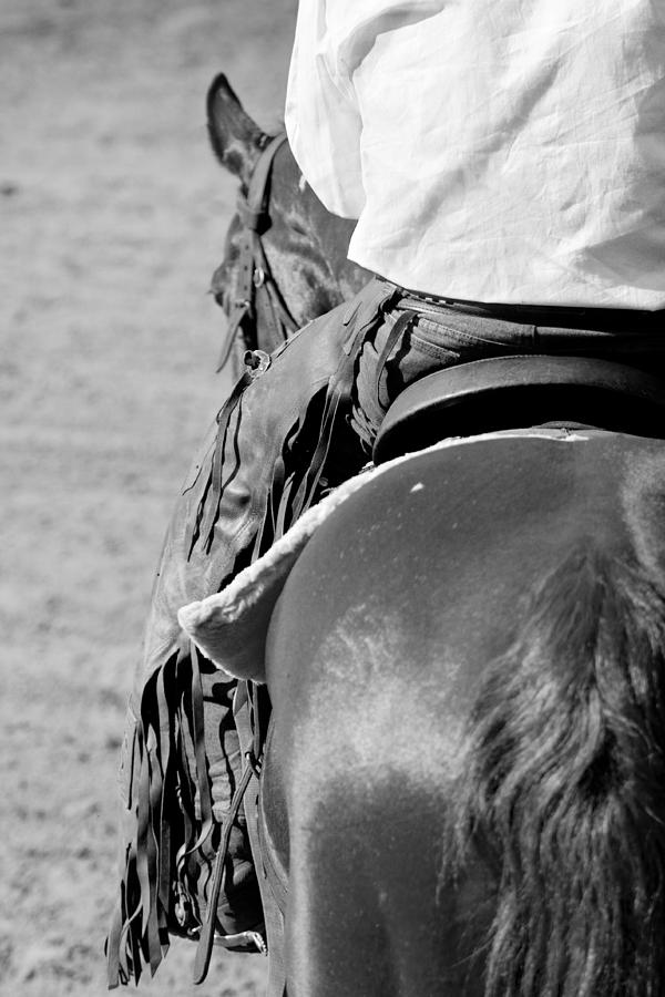 Horse Photograph - Leather Chaps by Michelle Wrighton
