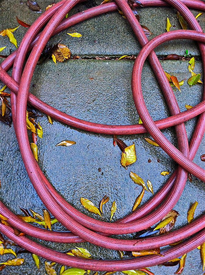 Leaves And Hose Photograph by Bill Owen