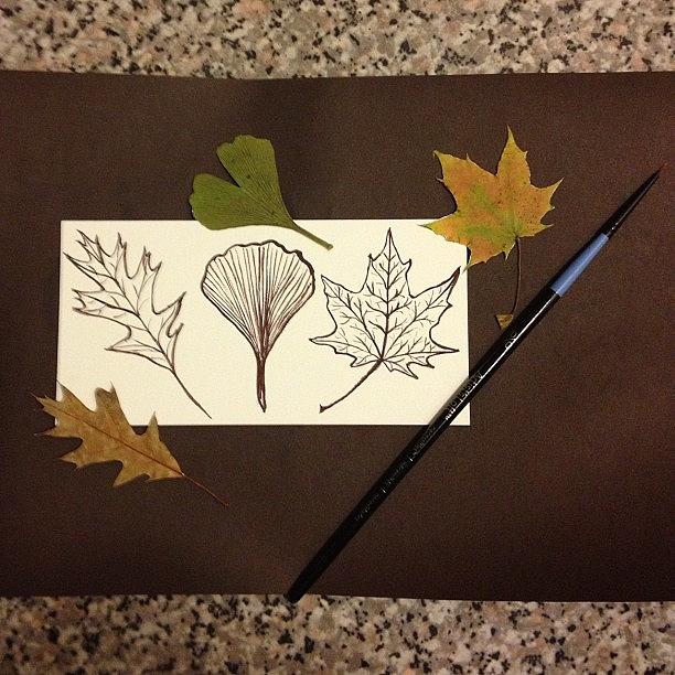 Leaves Photograph - #leaves #art #aedm2012 I Love To Sketch by Lori Moon