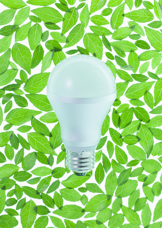 Led Bulb Surrounded With Leaves (ecology Image) Photograph by sozaijiten/Datacraft Led Bulb Surrounded With Leaves (ecology Image) Photograph by sozaijiten/Datacraft
