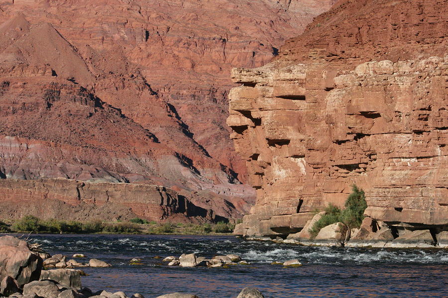 Lees Ferry -- Colorado River Photograph by Grant Washburn