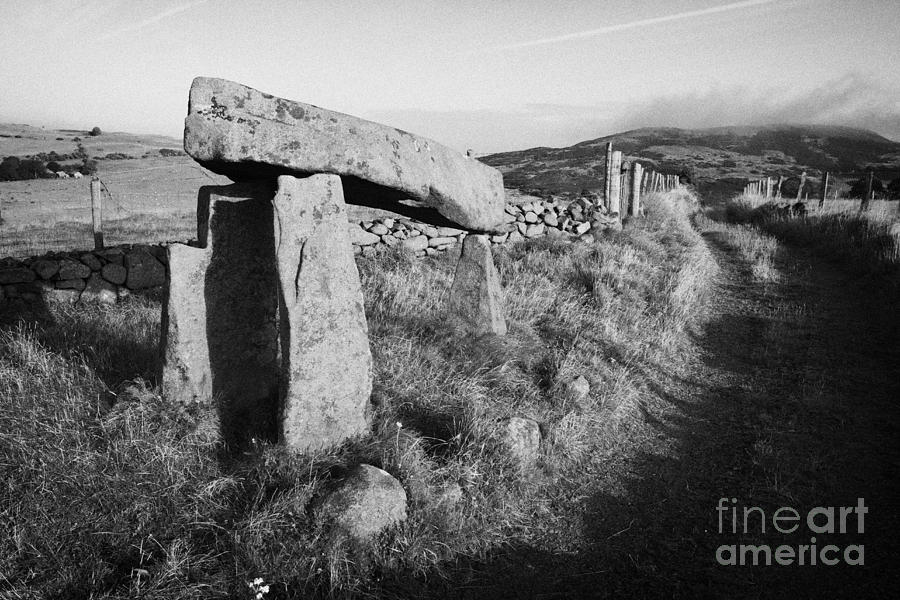 Prehistoric Photograph - Legananny dolmen portal tomb ancient historic monument beside farmers laneway county down by Joe Fox