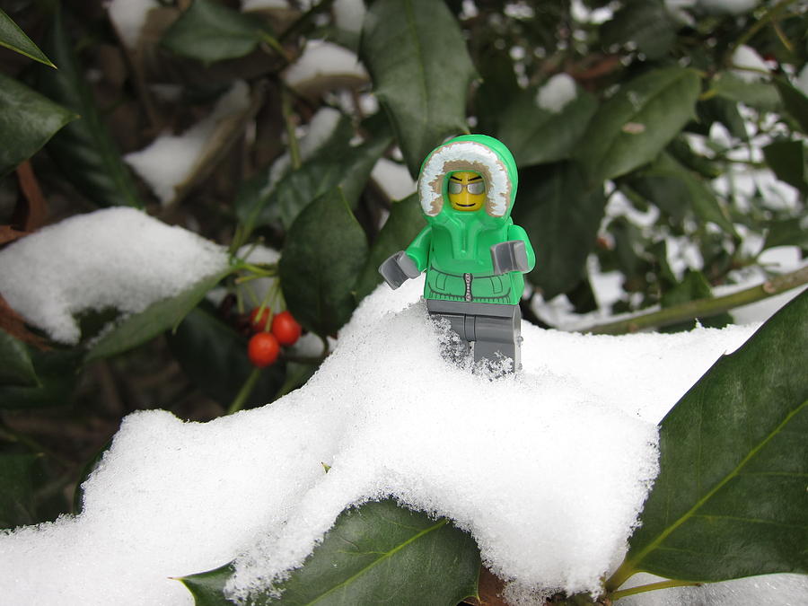 LEGO Mini Eskimo in Holly  Photograph by Sven Migot