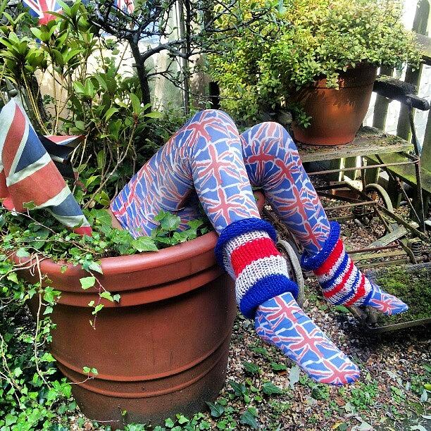Bunting Photograph - Legs in flowerpot by Natasha Futcher