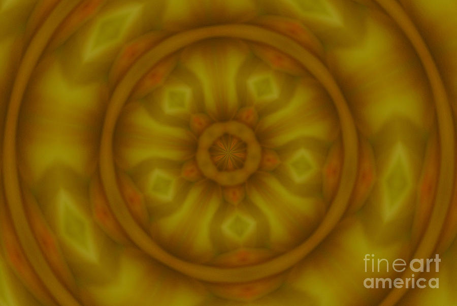 Abstract Photograph - Lemon by Paulina Roybal Abstract Photograph - Lemon by Paulina Roybal