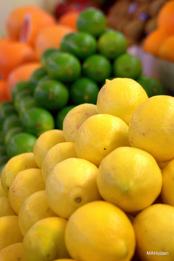 Lemons and Limes Photograph by Mark Holden Fine Art America