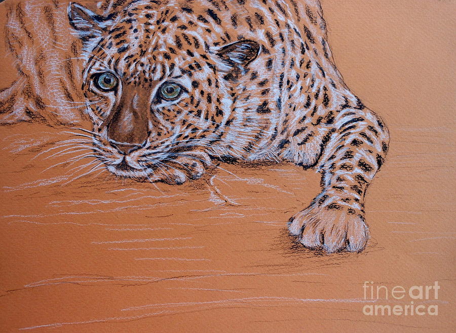 Leopard 1 Pastel by Amanda Dinan