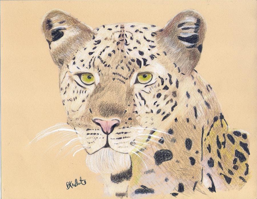 Leopard Drawing by Brian White