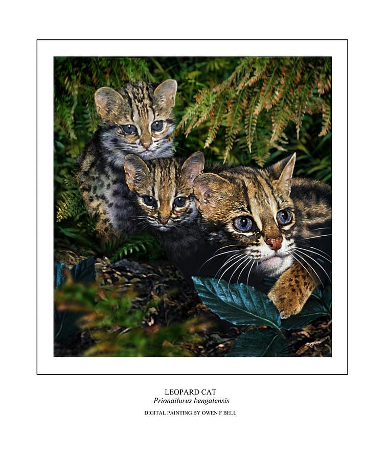 LEOPARD CAT Prionailurus bengalensis Digital Art by Owen Bell