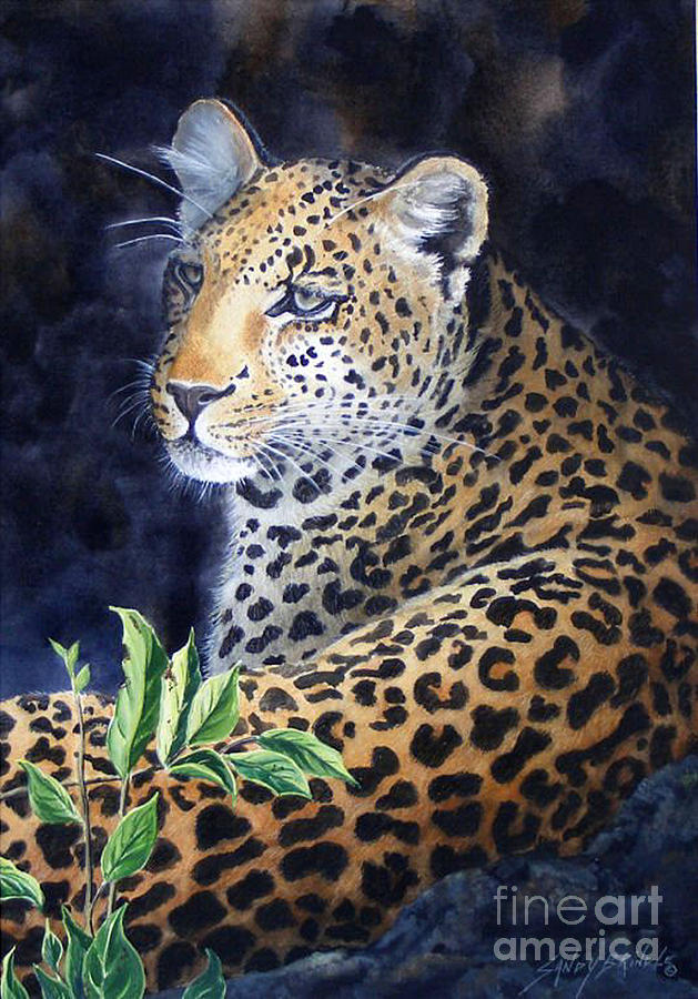 Leopard  SOLD  PRINTS AVAILABLE Painting by Sandy Brindle
