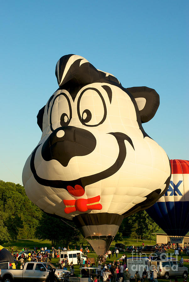 Hot Air Ballon Photograph - LePew 2 by Mark Dodd