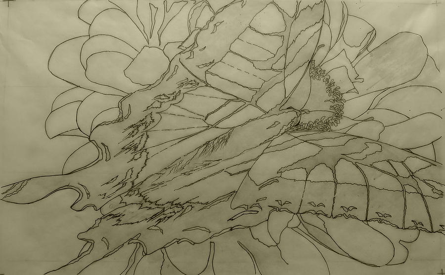Lepidoptery - pencil sketch - WIP Drawing by Joel Deutsch