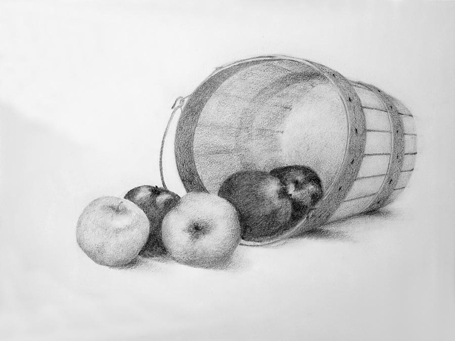 Charcoal Drawing - Les Pommes by Studio Maeva