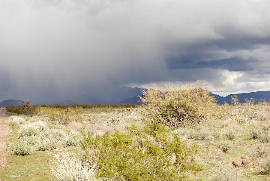 Desert Photograph - Let it rain  by Rebbeca Alt