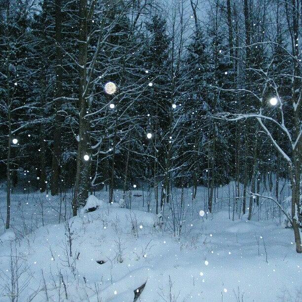 Nature Photograph - Let It Snow, Let It Snow, Let It Snow by Eve Tamminen