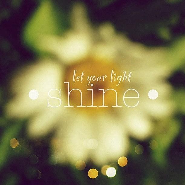 Nature Photograph - Let Your Light Shine.✨ Daisy Edit by Traci Beeson
