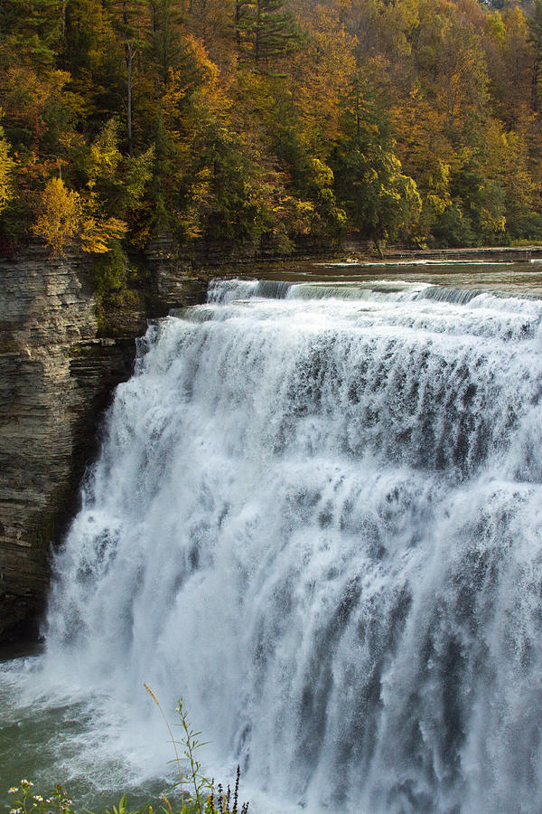 Fall Photograph - Letchworth Middle Falls by Darleen Stry