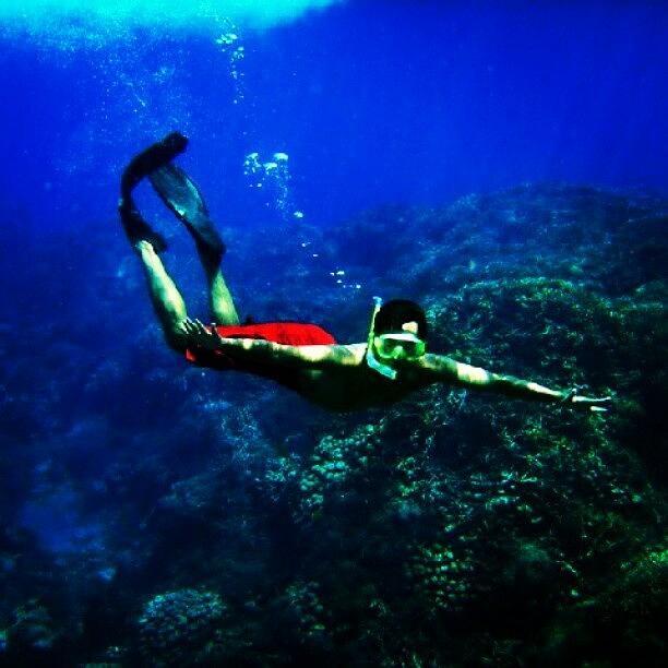 Swim Photograph - Lets #swim #scubadive #snorkeling by Fajar Triwahyudi