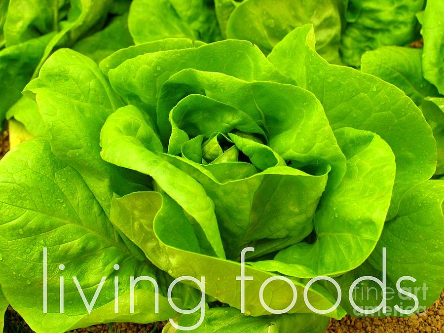 Lettuce Living Raw Foods Photograph by Sacred Muse Fine Art America