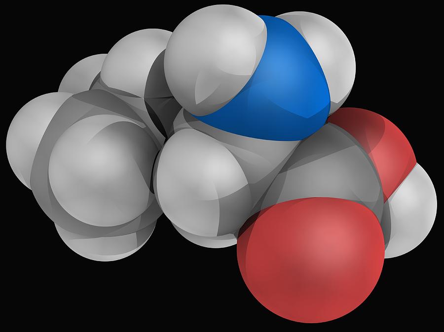 Leucine Molecule Digital Art by Laguna Design
