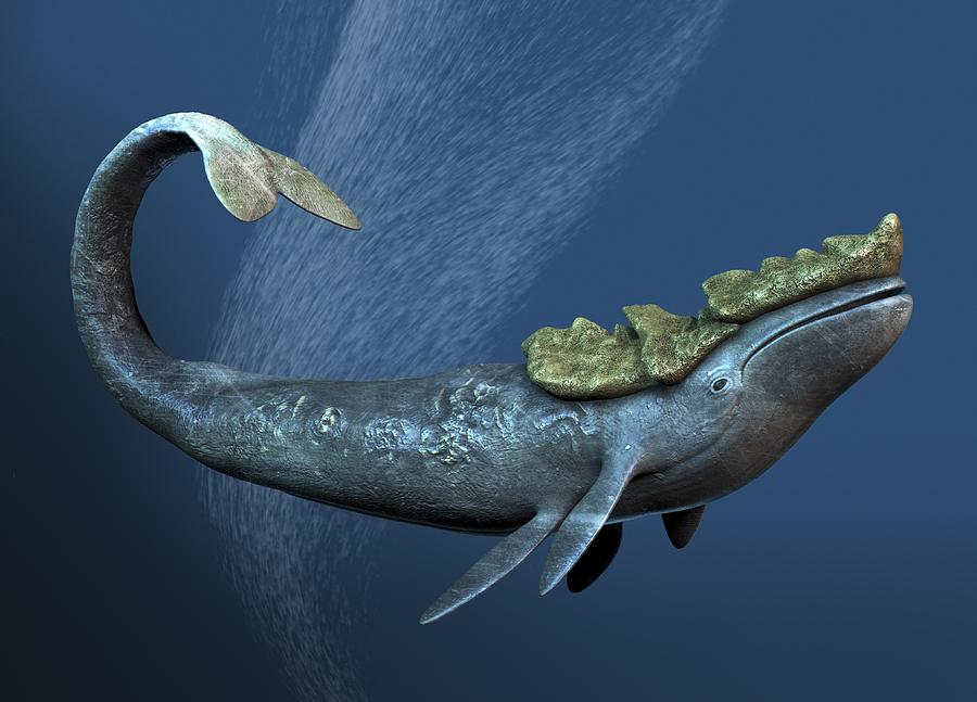 Leviathan Sea Monster, Artwork Digital Art by Victor Habbick Visions