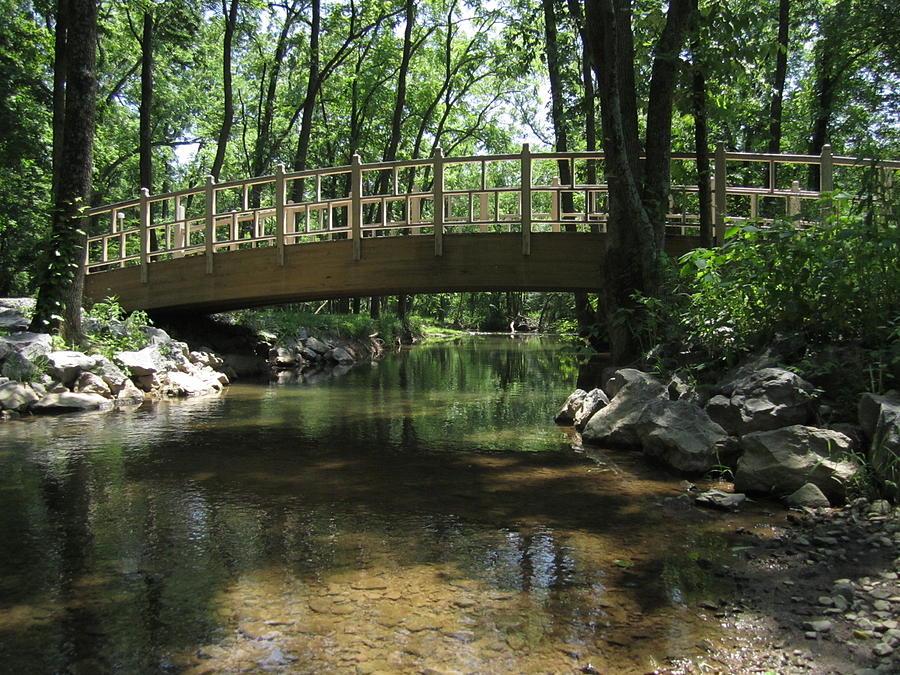 Lewisburg Dog Park Bridge Photograph By Diane Shemory 