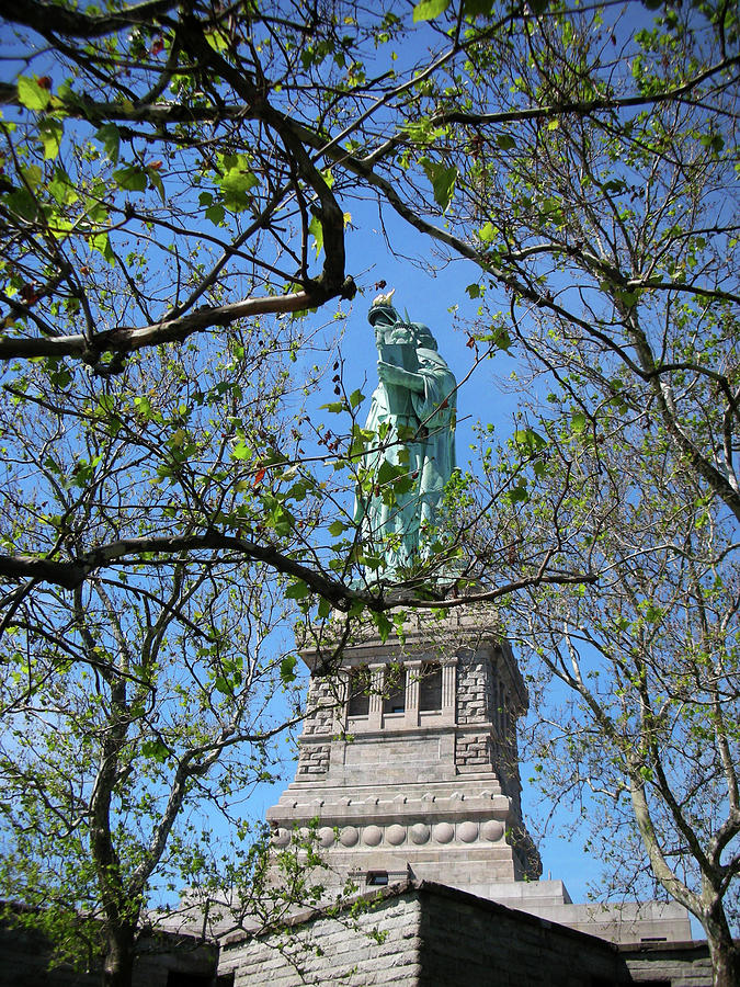 Liberty Through The Trees Photograph by Paul Mashburn