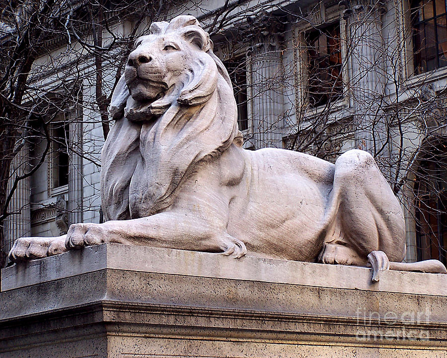 Wildlife Photograph - Library Lion-New York City by Anne Ferguson
