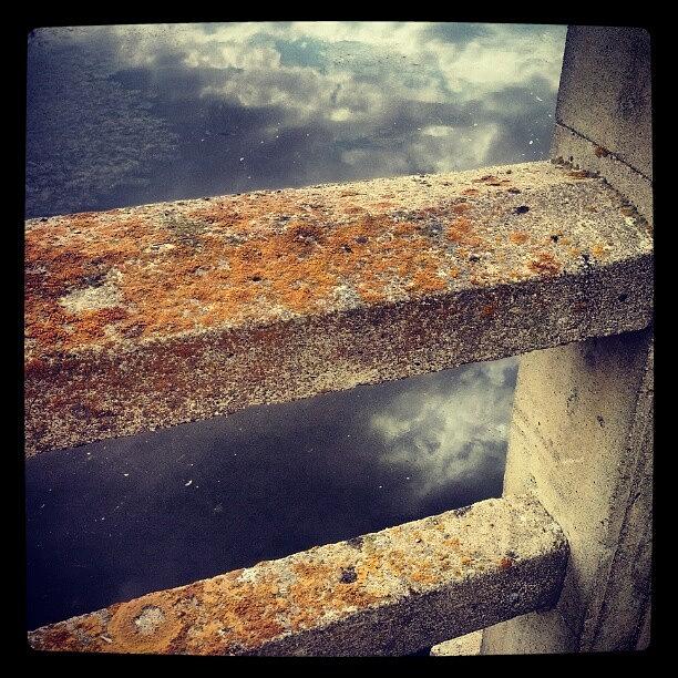 Bridge Photograph - #lichen #bridge Over Still #water by Joe P