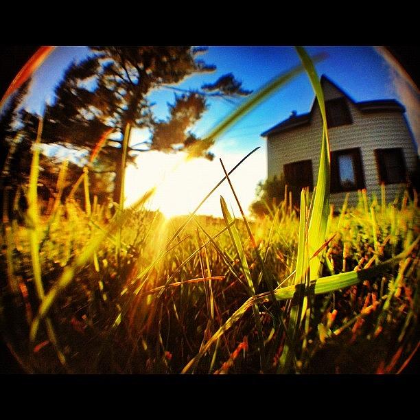 Summer Photograph - Life From An Ants Perspective by Tyler Dillman