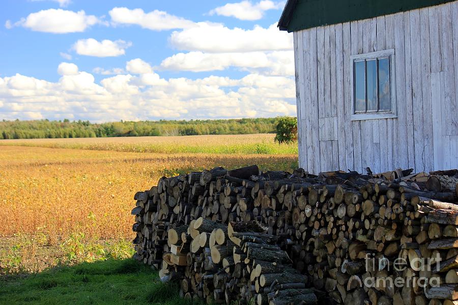 Fall Photograph - Life in the Countryside by Sophie Vigneault