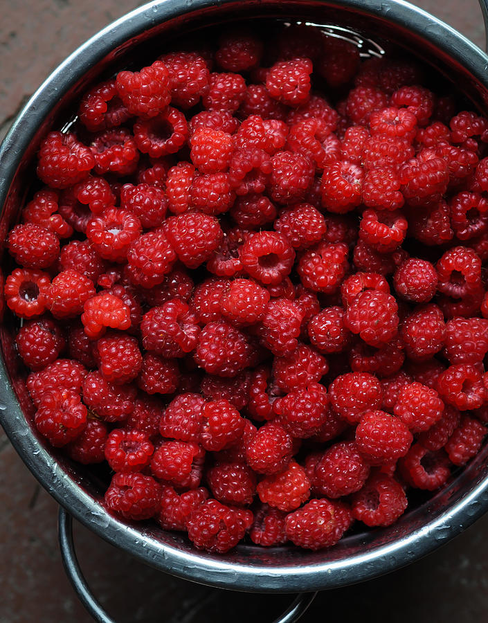 Life is a Bowl of Raspberries Photograph by Ronda Broatch