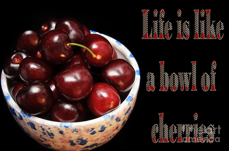 Life Is Like A Bowl Of Cherries 2  Photograph by Andee Design