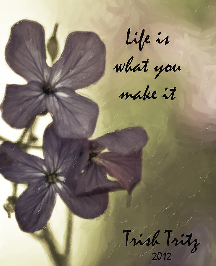 Life Is What You Make It Photograph by Trish Tritz