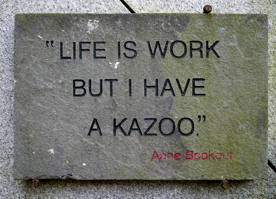 Life is Work but I have a Kazoo Photograph by Richard Reeve