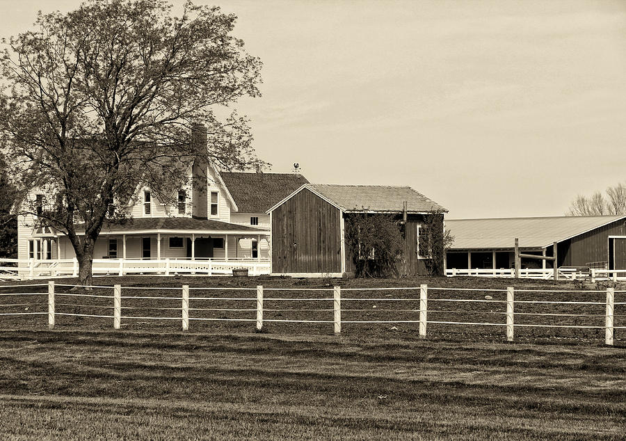 Life On The Farm Photograph By Rachel Cohen Fine Art America