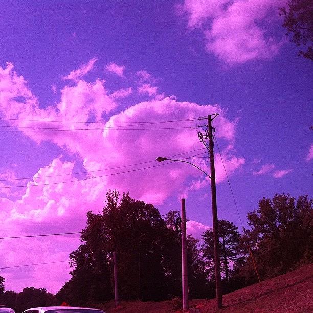 Life Through Rose Colored Glasses Aka Photograph by Emily Brittain