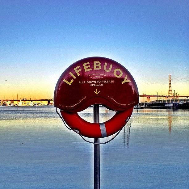 Melbourne Photograph - #lifebouy #docklands #safety #water by Nicole Spillane