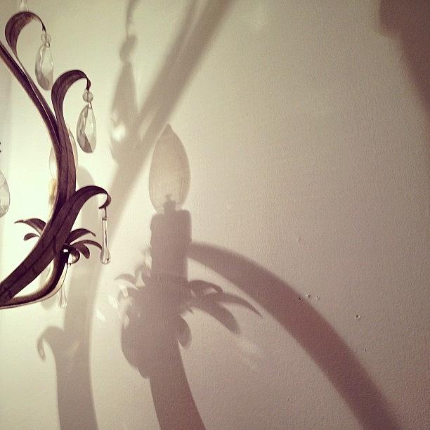 Light And Shadow Photograph by Elizabeth Fitzgerald