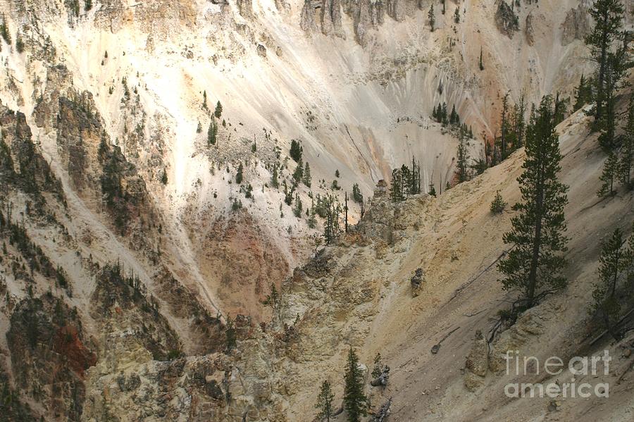 Light And Shadows In The Grand Canyon in Yellowstone Photograph by Living Color Photography Lorraine Lynch
