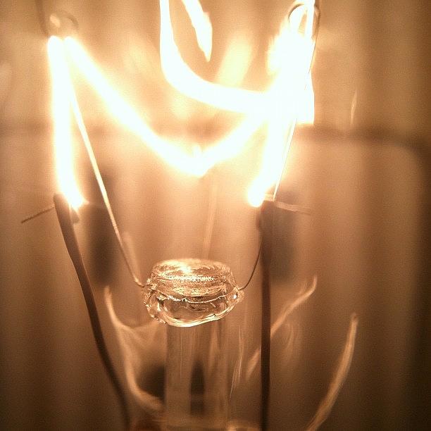 Lightbulb Photograph - Light Bulb. #picoftheday #iphoneography by Davis M