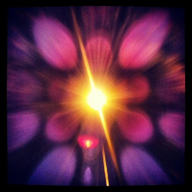 Cool Photograph - #light #flower #pattern #pink #purple by Bryan Thien